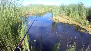 Вот это рыбалка в ручье! Хороший улов на спиннинг!