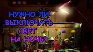 НУЖНО ЛИ ВЫКЛЮЧАТЬ СВЕТ НА НОЧЬ? #АКВАМЕН #АНТИЛОПУХ