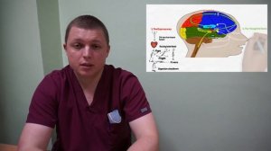 Как управлять своим мозгом | СТРЕСС КОНТРОЛЬ | Your Brain on Stress and Anxiety