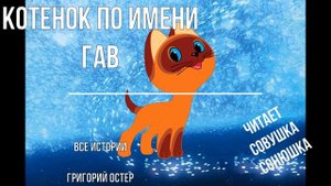Котенок по имени Гав