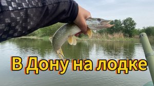 29.04.24 ЩУКА И СУДАК!!! В ДОНУ НА ЛОДКЕ, первая рыбалка в этом сезоне на большой воде
