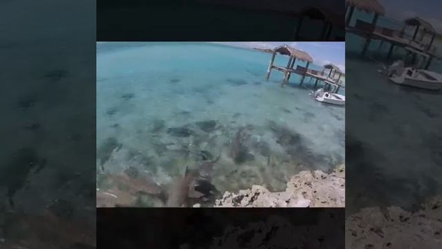 Exuma, Bahamas смотреть онлайн