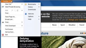 How to set Firefox Homepage