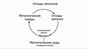 Открытый Экологический Университет МГУ - Лекция 2