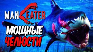 MANEATER  СИМУЛЯТОР АКУЛЫ Часть 4.