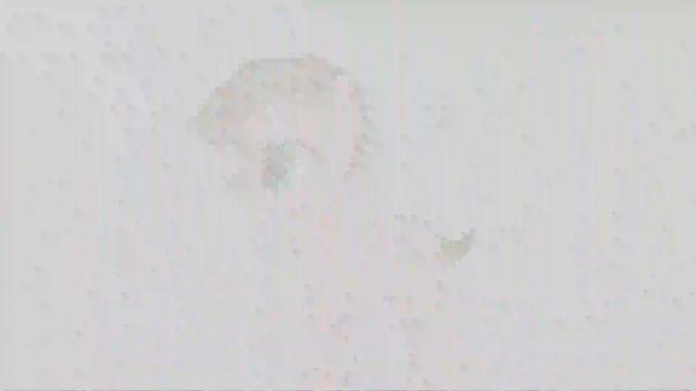 пони meme - зима смотреть онлайн