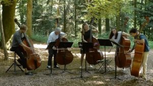 Розовая пантера - контрабасовый квинтет