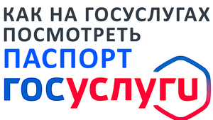 Как на госуслугах посмотреть паспорт