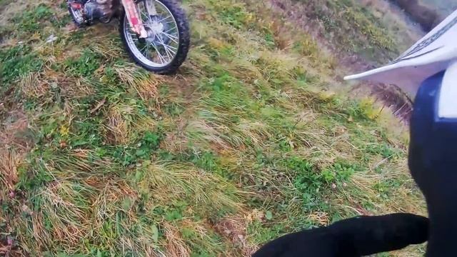 #ЭНДУРА 14. Воскресное тутари шитаке дэйз 2 [irbis Ttr250r]
