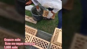 Как правильно положить облицовочный кирпич