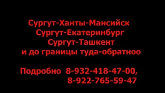 Сургут Ташкент СУРГУТ каждый вторник суббота смотреть онлайн