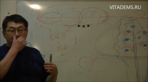 Петр Аюшеевич Шаблин | Казань, 10.02.2016