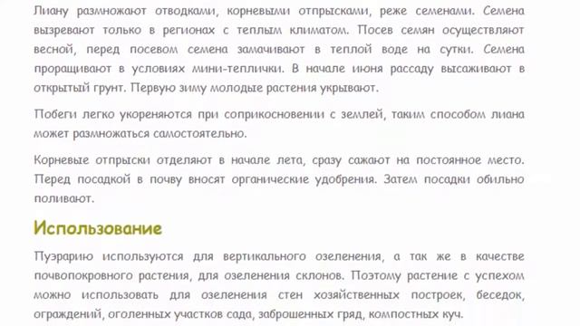 ПУЭРАРИЯ КУДЗУ  Красивые растения для дома и сада смотреть онлайн