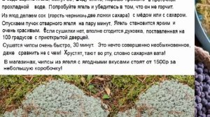 ЧИПСЫ ИЗ ЛИШАЙНИКА ЯГЕЛЯ