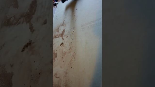 Тестируем силу всасывания пылесоса #bort #bss-1220 #строительныйпылесом #пылесос #строительство смотреть онлайн