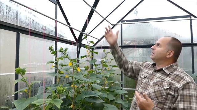 Огородничество #44 - Наша новая Теплица из Поликарбоната + Тёплые грядки - залог хорошего урожая! смотреть онлайн