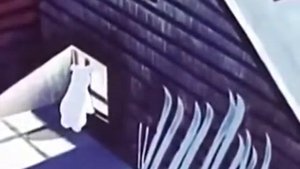 'UMKA IS LOOKING FOR A FRIEND', WATCH ONLINE FOR CHILDREN cartoon with English subtitles HD