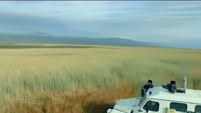 Гимн Пограничников