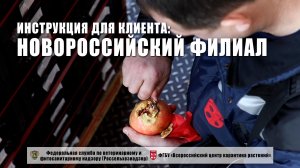 Новороссийский филиал ФГБУ "ВНИИКР". Инструкция для клиента