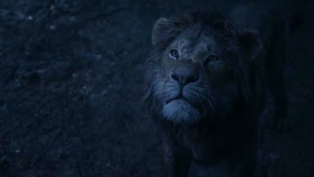 «Король Лев»Симба становится Королём
