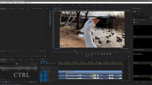 Как убрать, заглущить часть Аудио в Premiere Pro