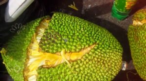 ДЖЕКФРУТ ПОЛЬЗА | джекфрут вкус, джекфрут как есть, jackfruit