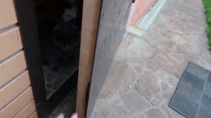 VLOG Даша учит стих ? Умка помогает