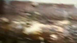 Работа на пилораме МВ-2000. Принцип рабыты