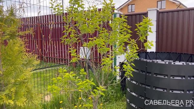 Как перезимовал мой сад. Прогулка по саду 25 мая 22 года смотреть онлайн