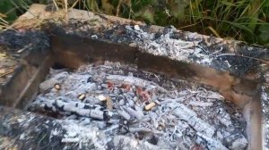 Шашлык на стеблях подсолнечника