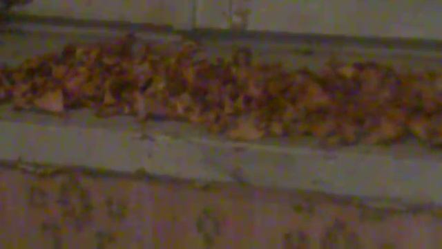 ХАПАЛ РТОМ ВОЗДУХ смотреть онлайн