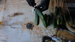 Букет из огурцов ?. Овощной букет своими руками. DIY bouquet of vegetables