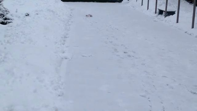 Himoto Mastadon (E18MT) [2] смотреть онлайн