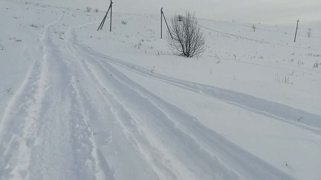 холодная зимовка пчел 2023 смотреть онлайн