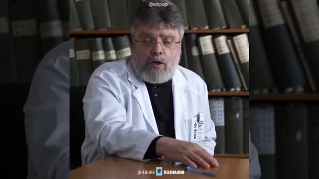 Гармон радости смотреть онлайн