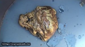 Челбанья - золотой самородок. Сусуман. Колыма