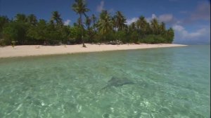 Музыка Моря - релакс. Музыка для души.