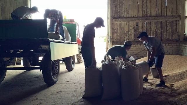 За зерном, едем за зерном. Делаем запасы на зиму.
Поездка за зерном.