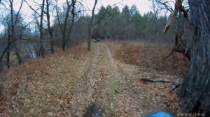 на мотоцикле Урал по лесу к соку