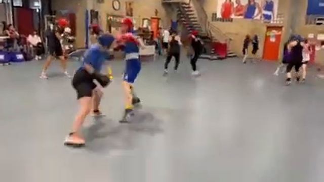 бокс Сборы в Италии , совместно Украина Италия ????? смотреть онлайн