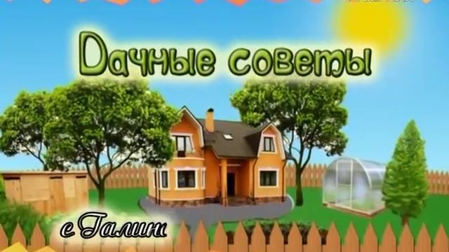 Дачные советы 01.06.2017. Баковые смеси смотреть онлайн