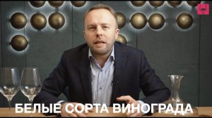 ТОП - 15 главных сортов винограда для производства вина. Часть 1 - Белые.