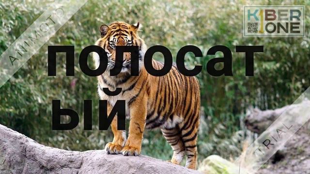 дикие животные