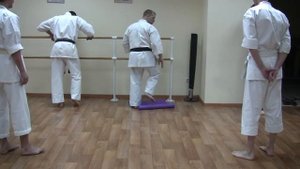 уэчи рю семинар киев 2011 день 2 8