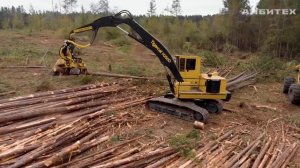 Гусеничный харвестер Tigercat H250D