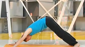 Хатха-йога для начинающих / 01_Ознакомительное занятие. Техника безопасности