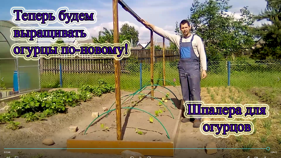 Шпалера для огурцов. Своими руками. Выращивание огурцов в открытом грунте. Из столицы в деревню.