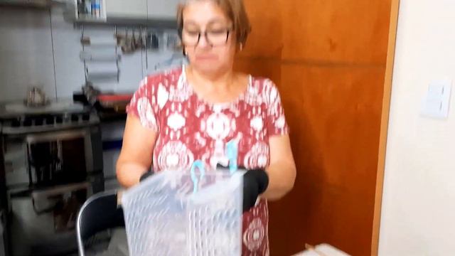 REPLANTE DE ORQUÍDEA PHALAENOPSIS - INAUGURAÇÃO DO CANAL!!! смотреть онлайн