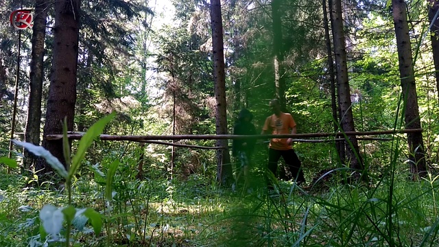 лесные прогулки, летний поход смотреть онлайн