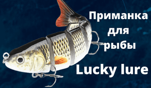 Приманка для рыбы Lucky lure.